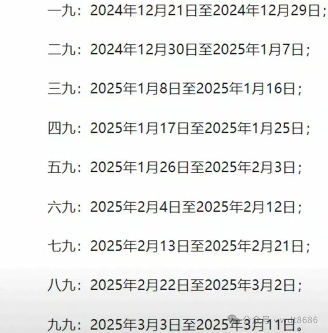 最新久久網(wǎng)2025，友情小船與溫馨日常的交織