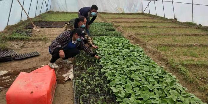 策勒最新招聘啟航人才新篇章，學(xué)習(xí)變化，擁抱自信與成就，啟程人生新征程！