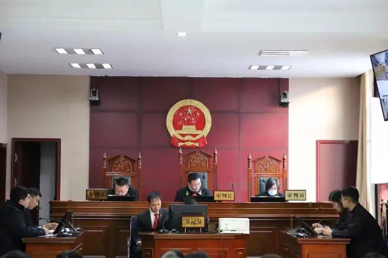 偏關(guān)最新案件深度解析，揭示真相，關(guān)注社會公正與公平