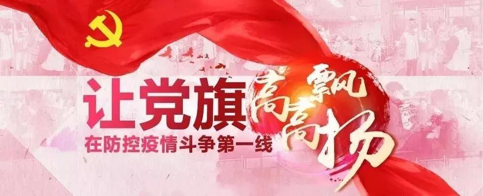 全球抗擊新冠疫情最新進展與案例分析，最新疫情快訊綜述