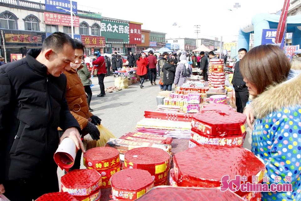 淘元素最新，淘淘的奇妙冒險(xiǎn)之旅與友情的溫暖體驗(yàn)