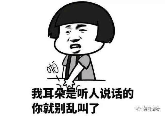 最新枕邊笑話，科技小寶貝，生活添樂趣