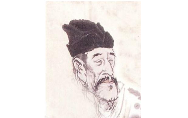 最新孤雁圖片，展現(xiàn)自然之美與深意的瞬間