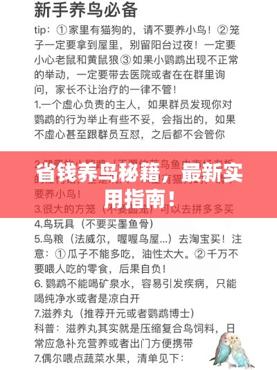 最新養(yǎng)鳥法規(guī)解析，觀點闡述與深度探討