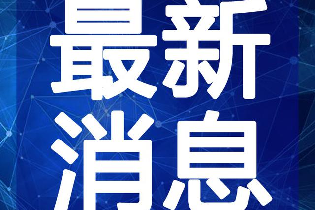 最新半仙視頻深度解析與觀點闡述，揭秘內(nèi)容魅力與獨特之處
