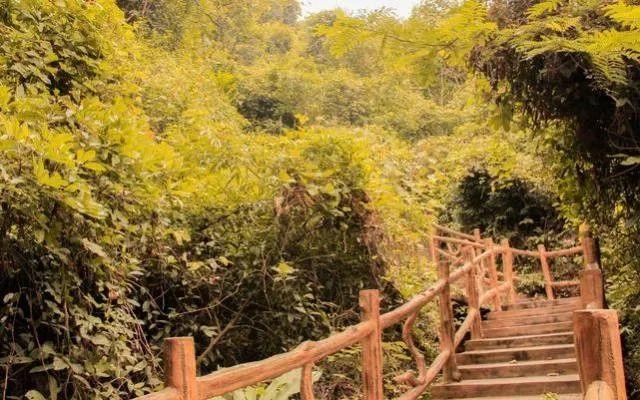 小99最新，科技、生活與娛樂(lè)的交融之地