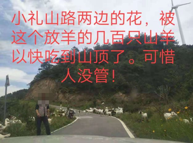 大悟最新路，探索未知，自信成就夢(mèng)想之旅的啟程