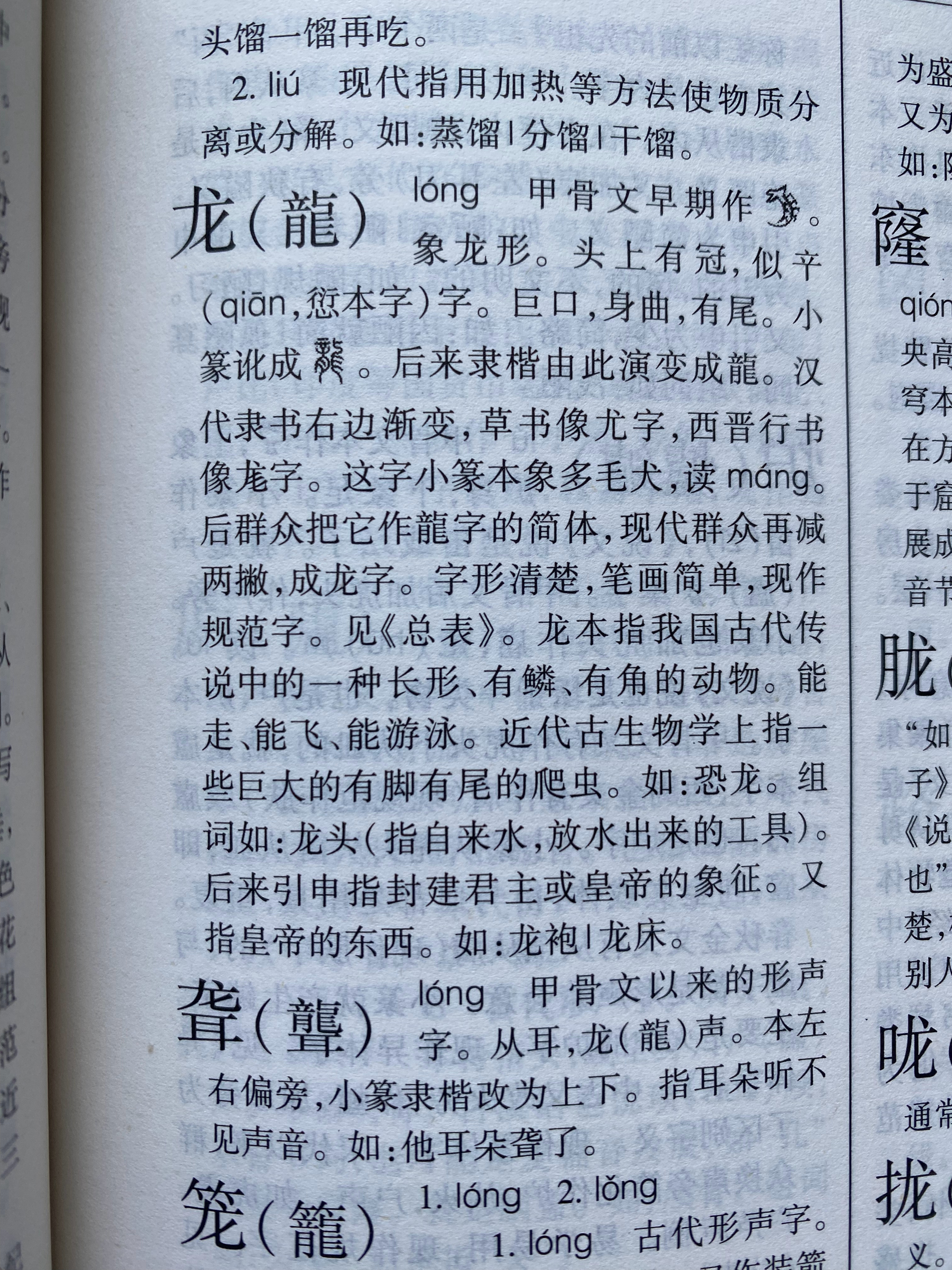 龍組詞最新，探索神秘詞匯世界，領略龍的魅力詞匯