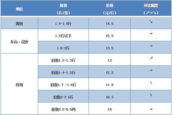 探索海鮮市場秘密，最新鱸魚價格一覽