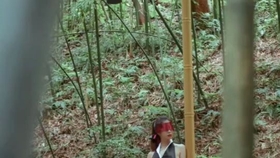 原野小年最新風(fēng)情，小巷深處的獨特魅力