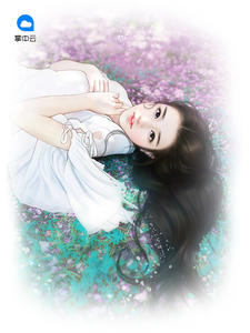 最新豪婿，小巷深處的獨(dú)特風(fēng)情
