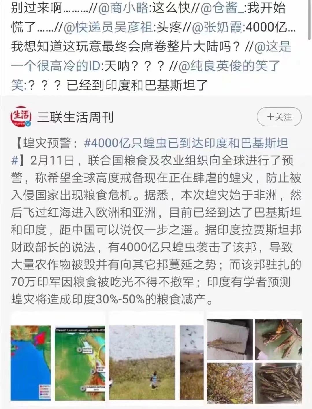 蝗蟲(chóng)最新動(dòng)態(tài)，防治與監(jiān)測(cè)的全面指南