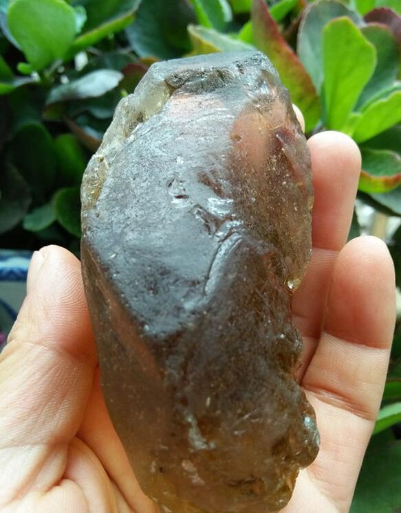 最新鑒定法，揭示友情的印記與家的溫馨