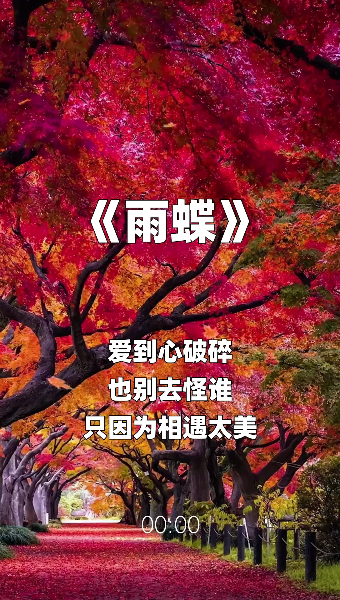 雨蝶最新步驟指南，如何完成任務(wù)或?qū)W習(xí)技能？