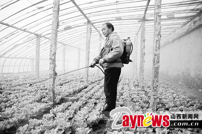 燈飾燈具 第45頁