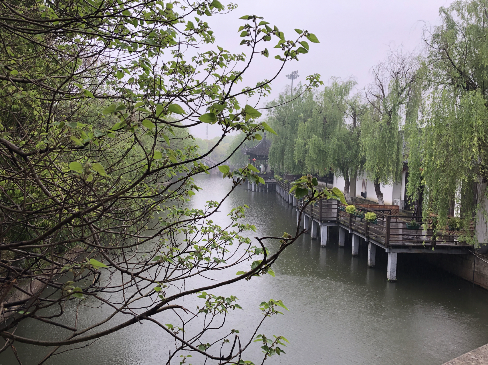 江南煙雨最新，自信與成就感的成長之旅