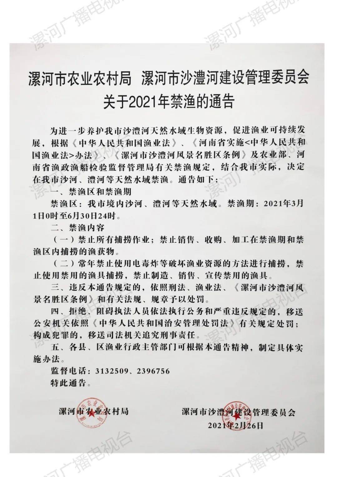 漯河最新通告，探索自然美景，尋覓內(nèi)心寧靜與平和之旅