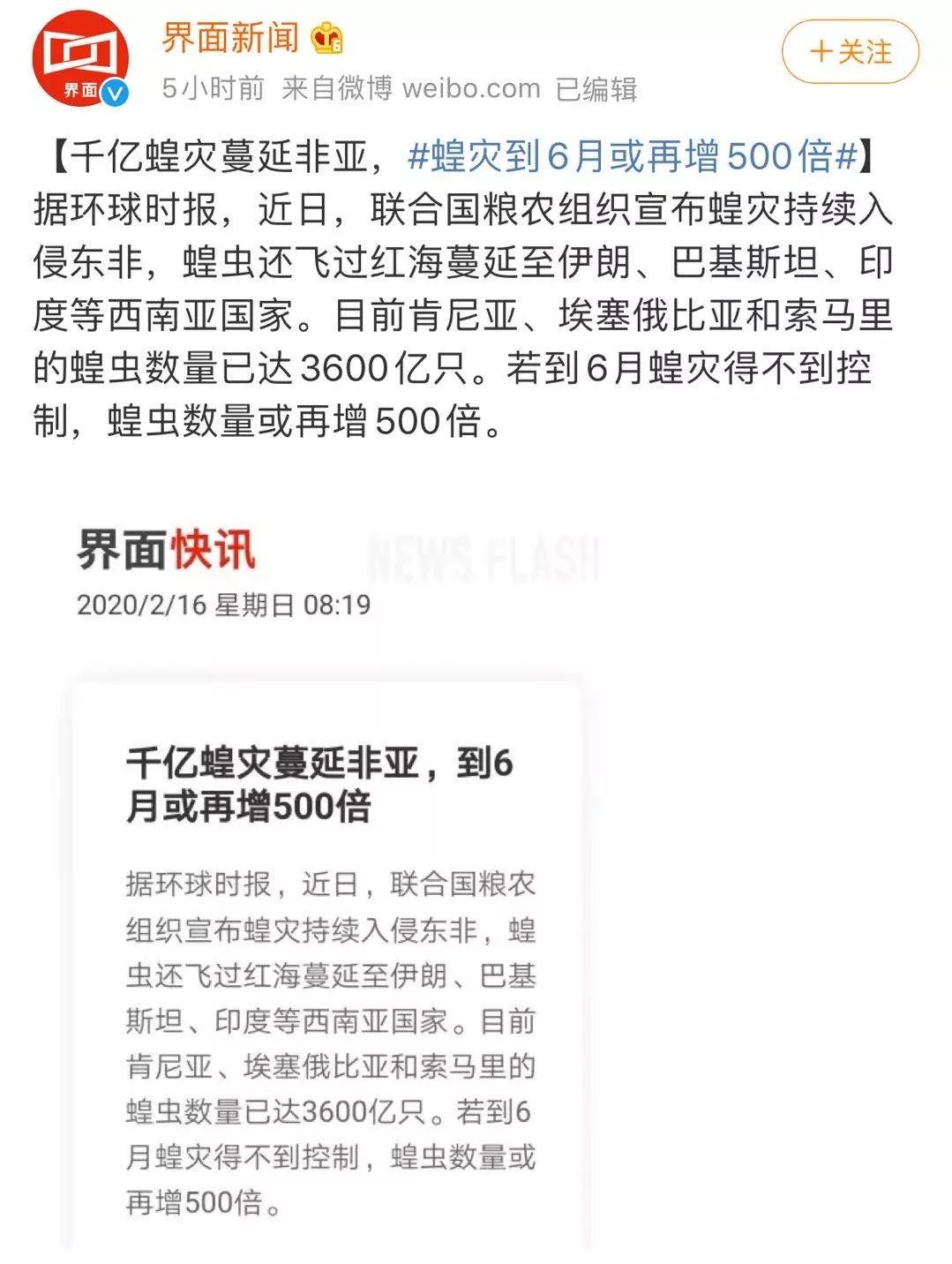 世界蝗災最新動態(tài)，探索自然美景的輕松之旅