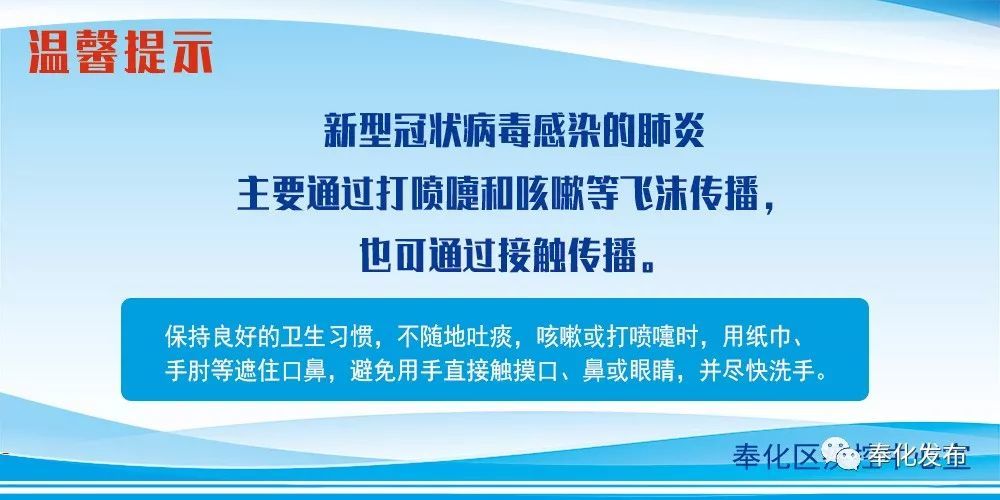 余姚最新確診背后的自然探索之旅，重拾心靈寧靜與平和