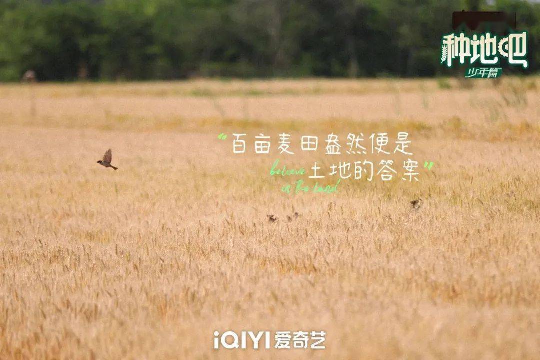 種地吧最新語錄，探索未來農(nóng)業(yè)的高科技魅力