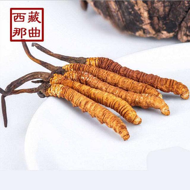 揭秘2025年蟲(chóng)草最新價(jià)格，探尋小巷中的秘密行情！