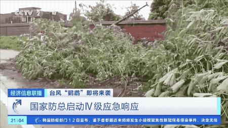 超強(qiáng)臺(tái)風(fēng)鸚鵡來襲，最新路徑動(dòng)態(tài)全解析???