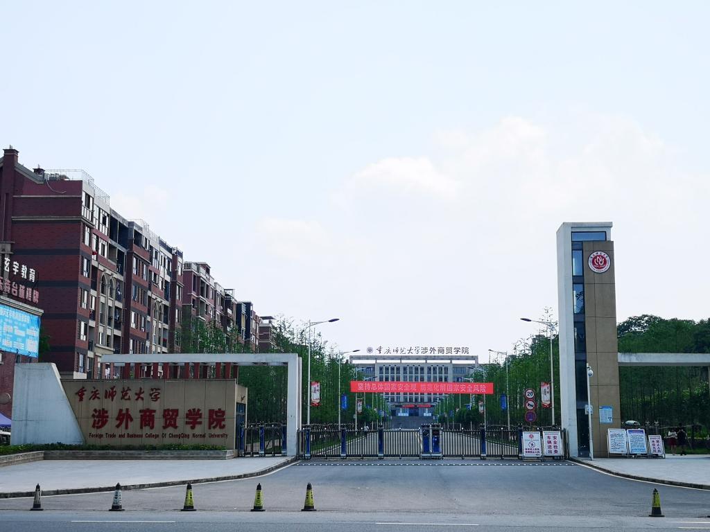 最新本科專業(yè)探秘，小巷中的隱藏寶藏之門