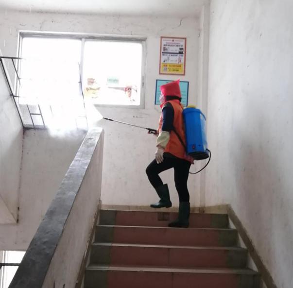 蓬江區(qū)最新高科技住宅，重塑未來生活體驗的首選之地